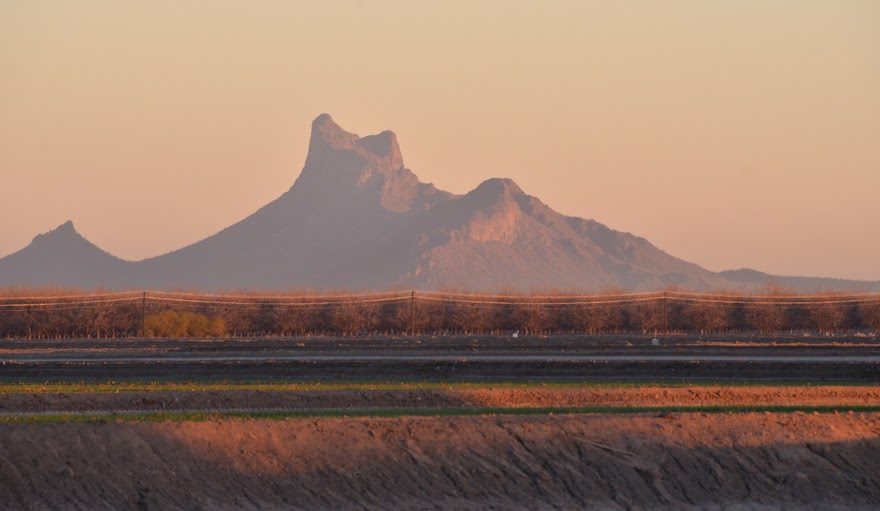 PeeWee Travels Deming to Flying J near Eloy, Arizona
