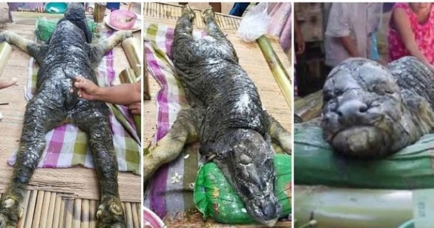 Kisah Aneh Tapi Nyata, Akibat Durhaka Kepada Ibukandungnya Seorang Anak