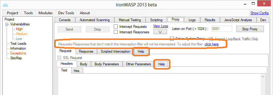 IronWASP Screenshot