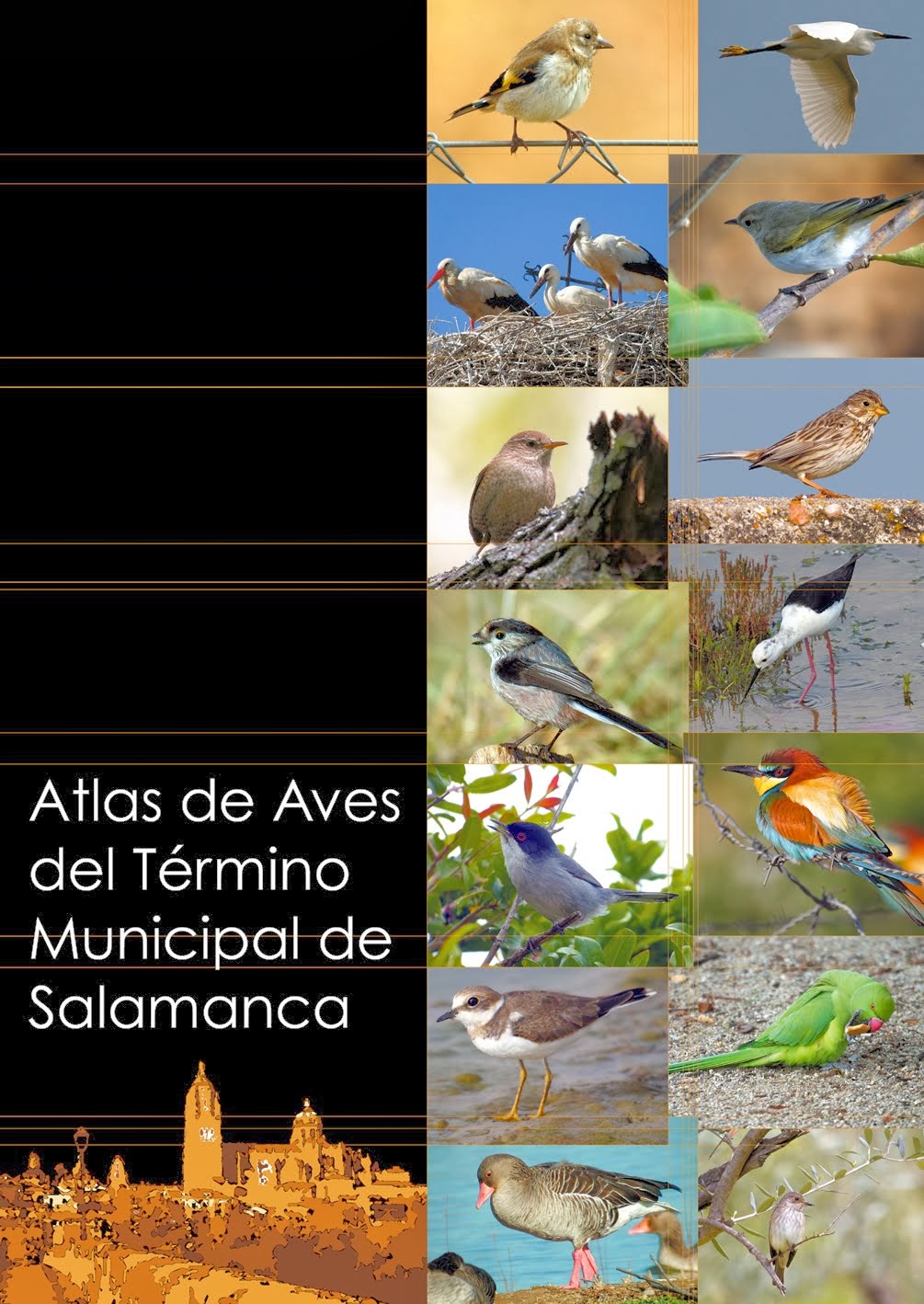 Atlas de las Aves del Término Municipal de Salamanca