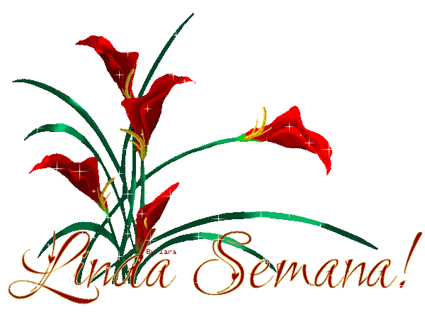 Resultado de imagen de feliz semana gif