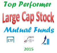 Best Large Company Stock Mutual Funds in 2015
