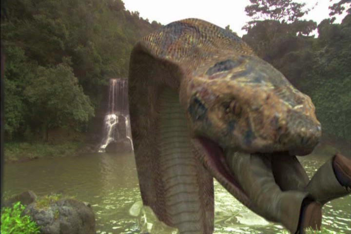 комода против кобры