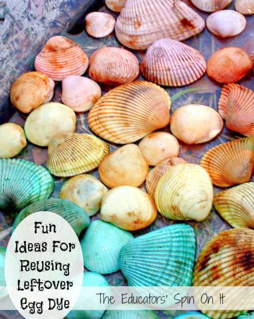 Kids Craft Dying Sea Shells