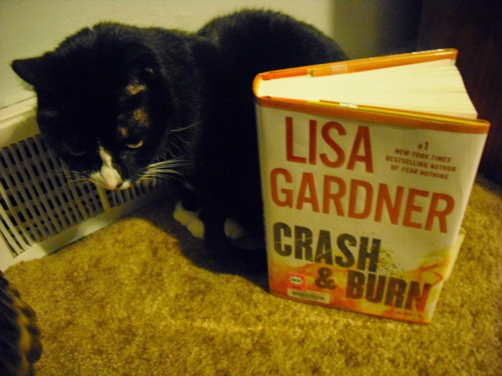 Grab A Book From Our Stack "Crash and Burn" by Lisa Gardner