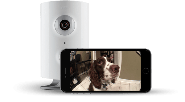 數位時代翻攝自 Piper 官網