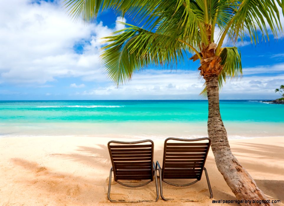 Nature  Free Download HD Wallpapers   Part 34