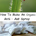 How To Make An Organic Anti – Ant Spray
