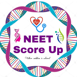 Allen Test Papers Pdf 2019 Neet