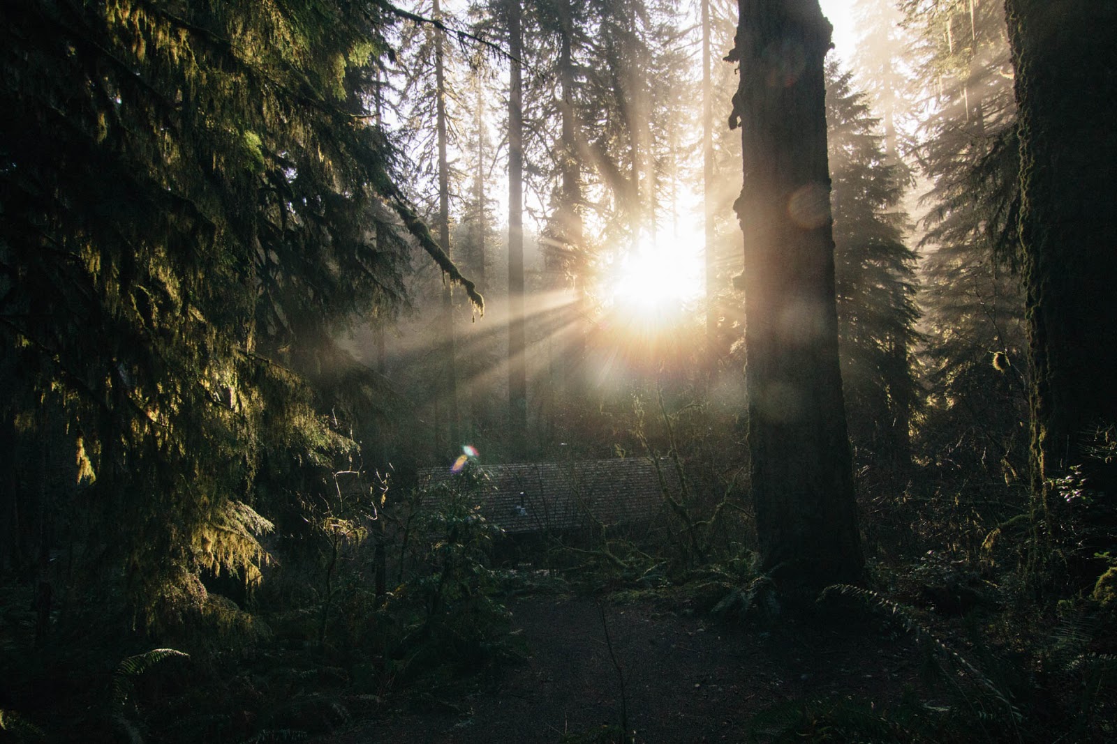 SILVER FALLS Christmas 2016 ROBBLAHBLOG