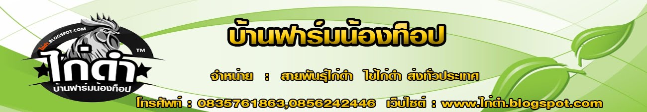 ไก่ดำ บ้านฟาร์มน้องท๊อป จังหวัดเชียงราย จำหน่ายทั้งปลีก-ส่ง ทั่วประเทศ www.ไก่ดำ.blogspot.com