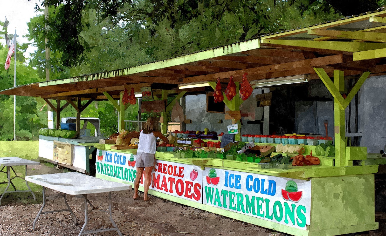 Tammany Family Boats in Bayou De Zaire