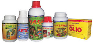 www.agenpupuksupernasa.com pupuk nasa untuk lada di lampung