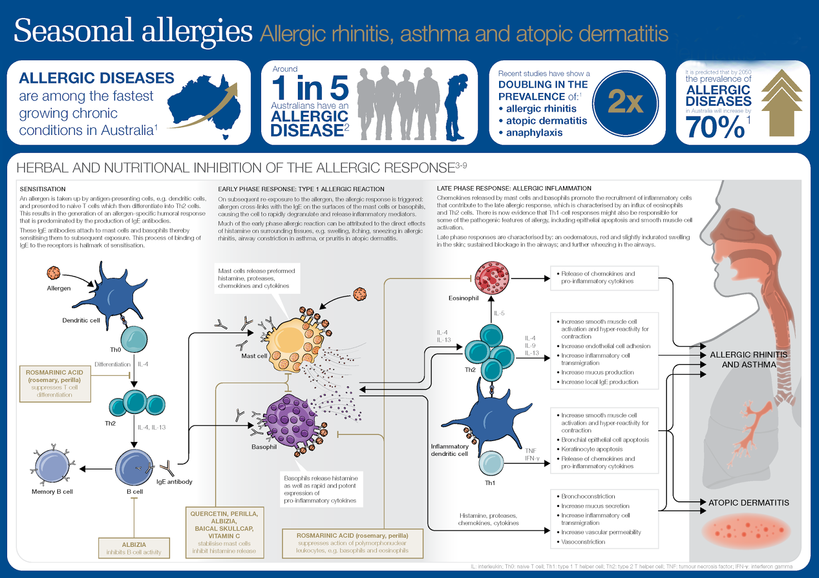 Seasonal Allergies - Symptoms Seasonal Allergies. - Medical School