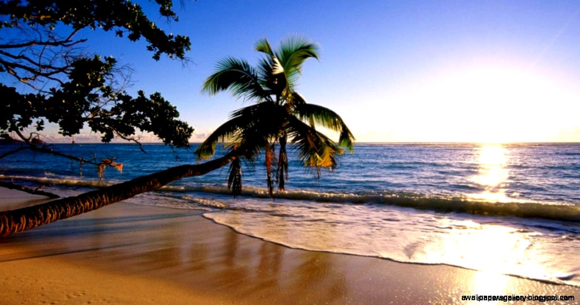 Nature Beach Wallpaper  Wallpaper Photography HD