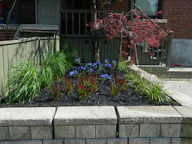 Roncesvalles Village Toronto new garden installation after by Paul Jung Gardening Services Inc