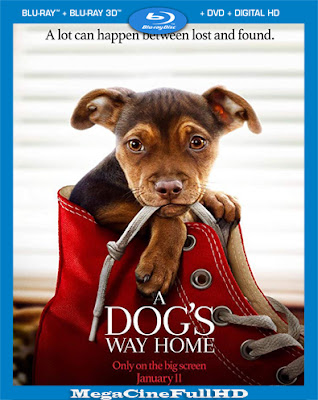 Mis Huellas A Casa (2019)