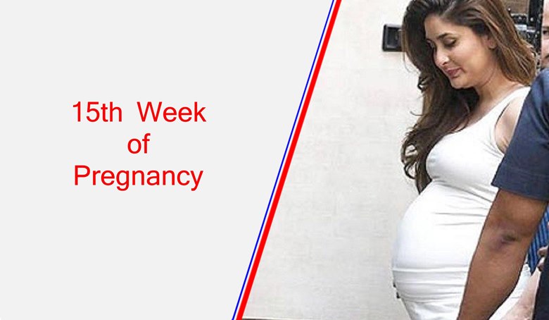 15th week of pregnancy