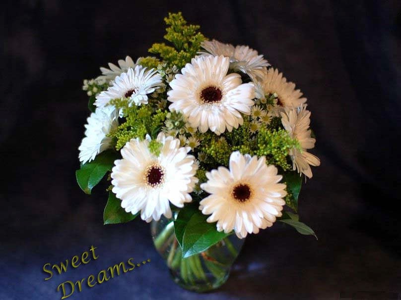 beautiful-white-flowers-good-night