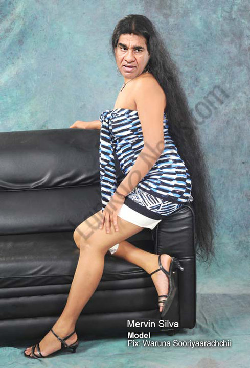 merv-707456.jpg