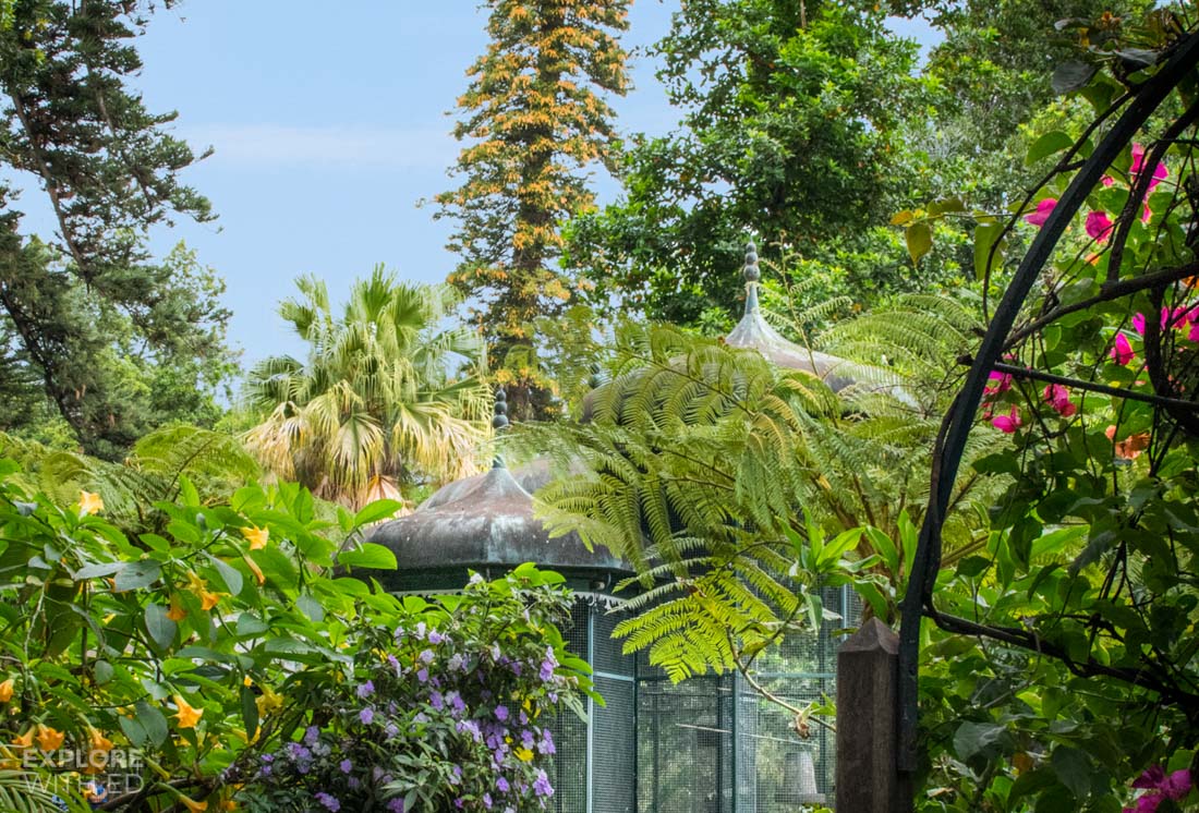 Funchal Botanical Gardens