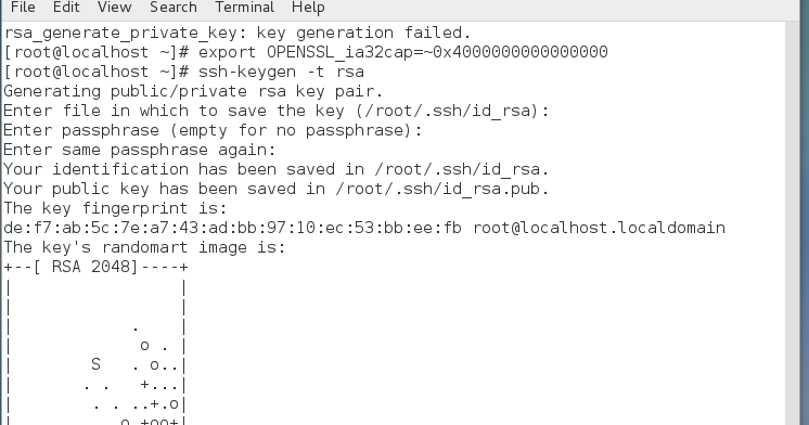 Linux : rsa_generate_private_key: key generation failed.