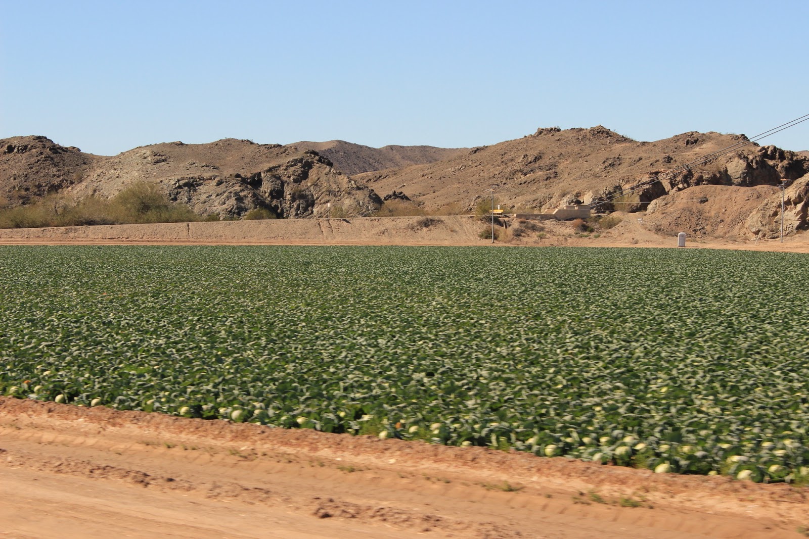 J and B and Lady Blue From Yuma, Arizona to Organ Pipe Cactus National