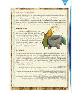 Apoyo Primaria Español 3er grado Bloque 2 lección 1 Práctica social del lenguaje 4, Elaborar un texto monográfico sobre pueblos originarios de México