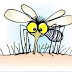 Κουνούπια, σκνίπες και άλλα έντομα. Η αντιμετώπιση του τσιμπήματός τους 