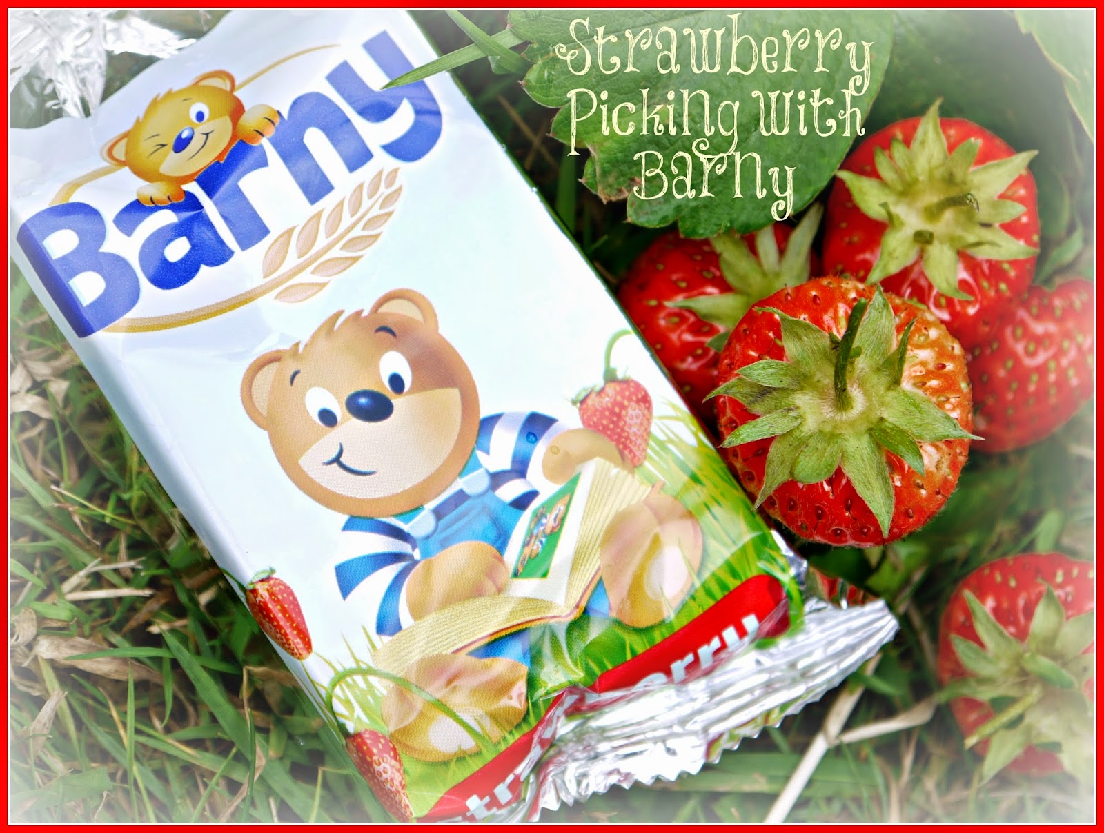 Barny, strawberry