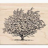 Sketch of apple tree