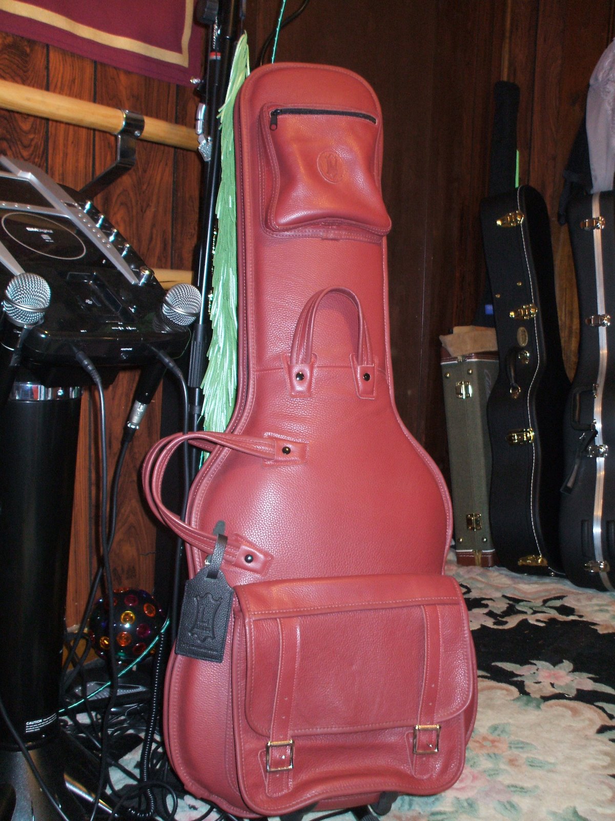 The New Eclectic Sound Experience Ernie Ball Gig Bag Amp & Touring Gear