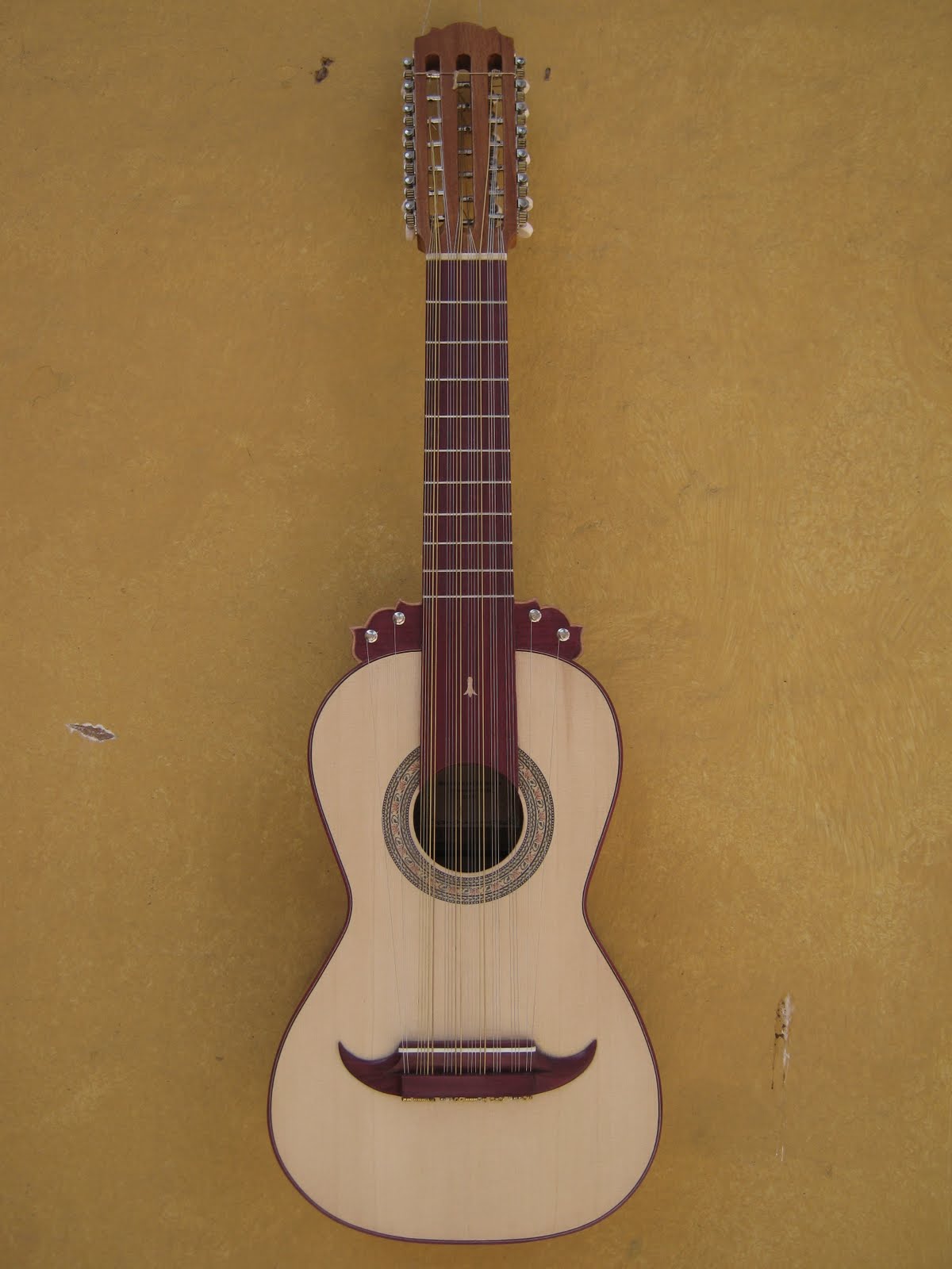 SALDARRIAGALUTHIER Guitarrón Chileno