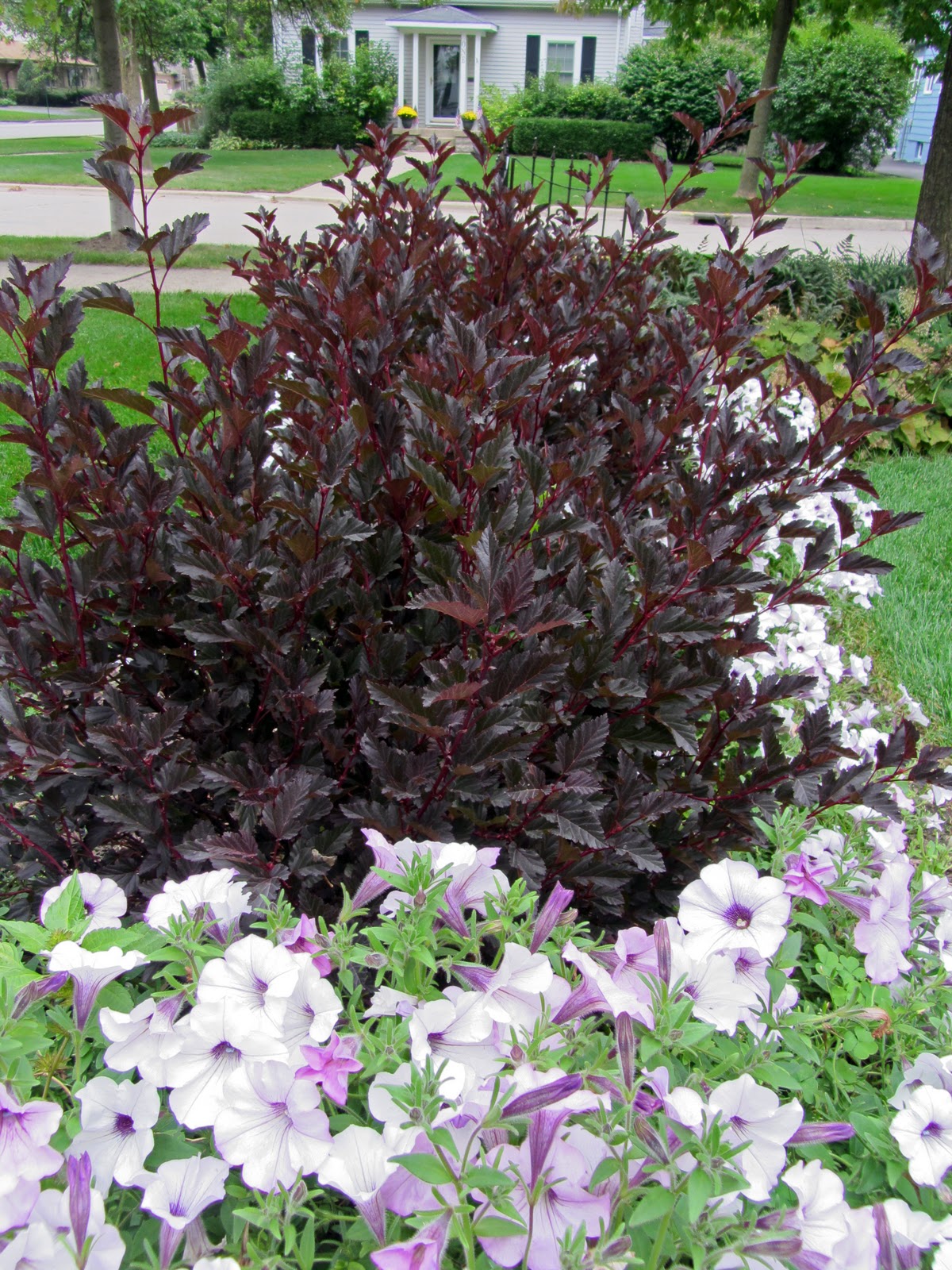 Gatsbys Gardens All At once!