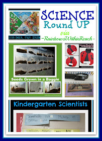 Science for Young Children, Preschool + Kindergarten Experiments (RoundUP via RainbowsWIthinReach) 