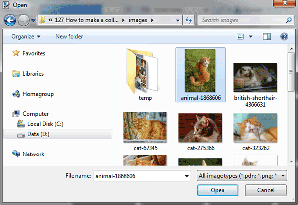 PhotoEffect: How to Make a Grid Collage in Paint NET