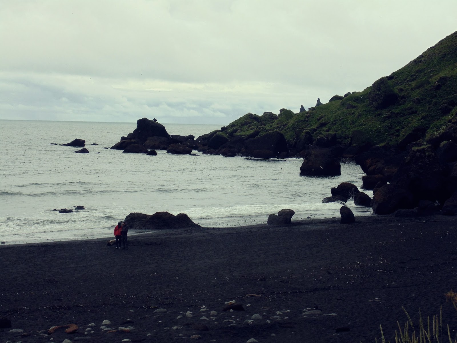 plaża w Viku, Vik, islandzkie miasto, islandzkie miasteczko, islandzka plaża, czarna plaża w Islandii, Islandia, południowa Islandia, brzydka Islandia