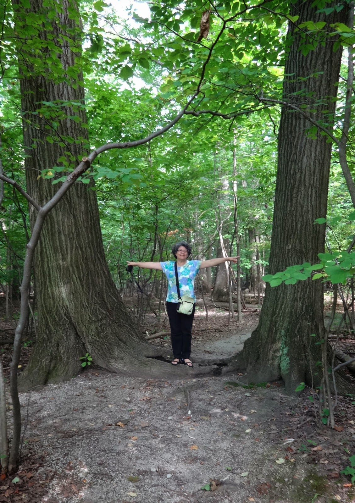Jax Stumpes Nature in Shaker Heights, OH (8/2013)