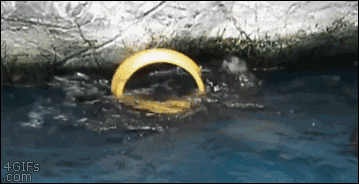 Funny animal gifs, otter playing ring