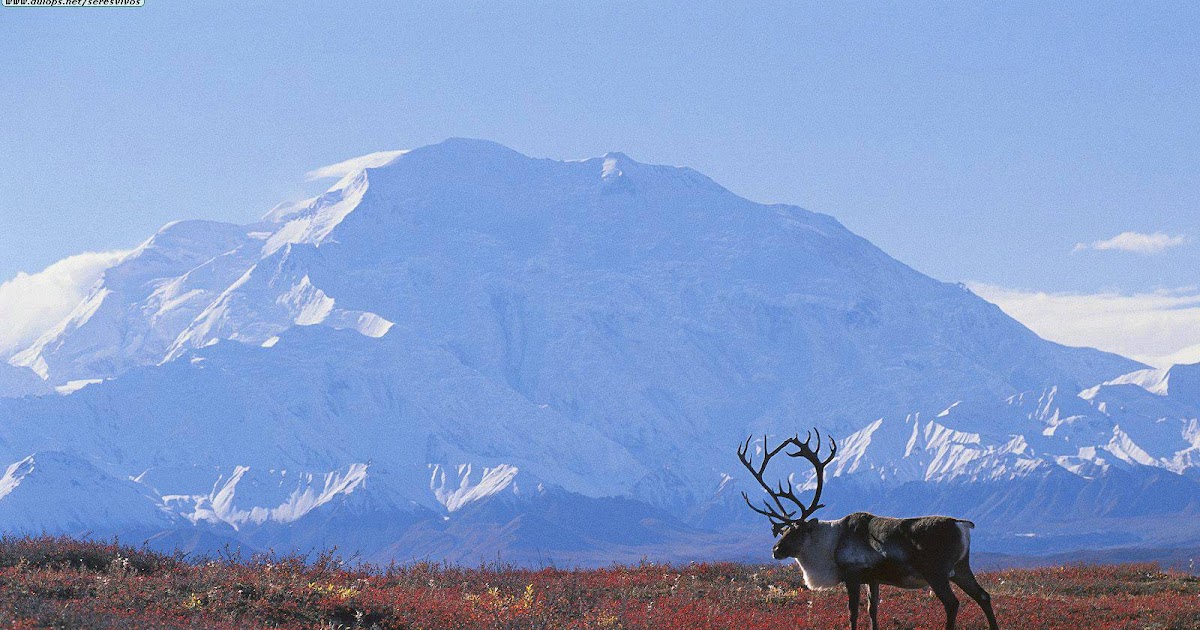 Amenazas de la tundra Biomas Mundiales Amenazas de la tundra Biomas Mundiales