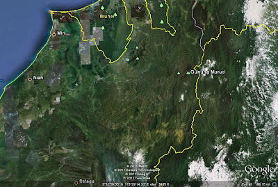 hutansarawak5.jpg