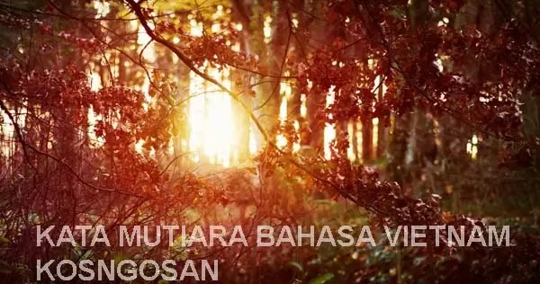 Kata Mutiara Bijak Bahasa Vietnam Untuk Caption Dan Status Kosngosan