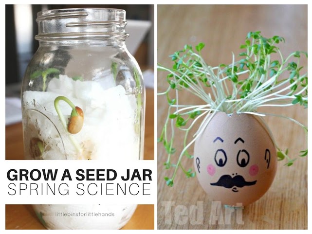 30+ Quick & Easy Spring Crafts for Kids - The Joy of Sharing