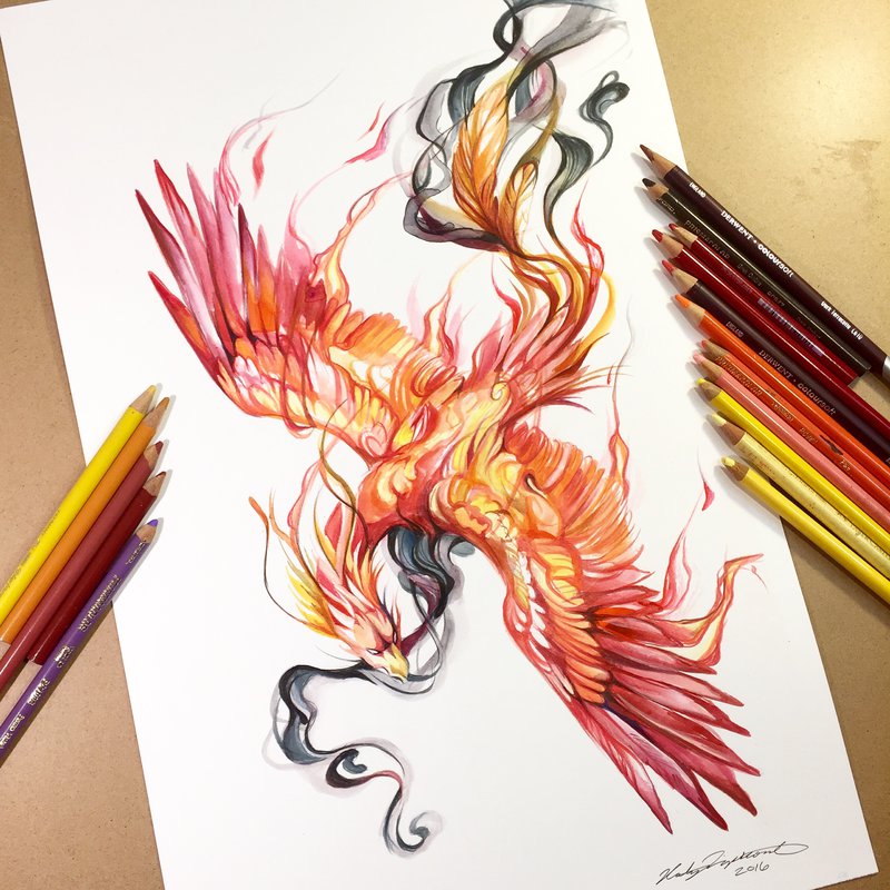 12-Phoenix-Katy-Lipscomb-Colourful-Drawings-and-Illustrations-www-designstack-co