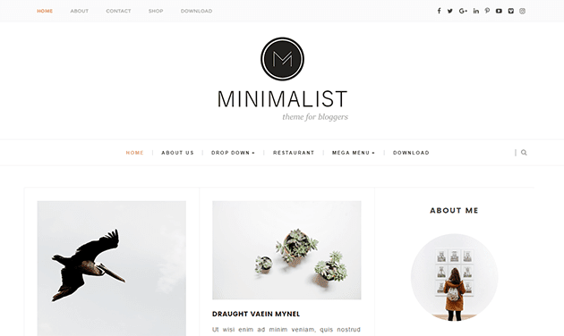 Download Clean & Responsive Blogger Template Minimalist