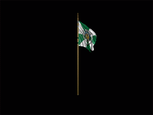 Bandeira da Cidade do Porto