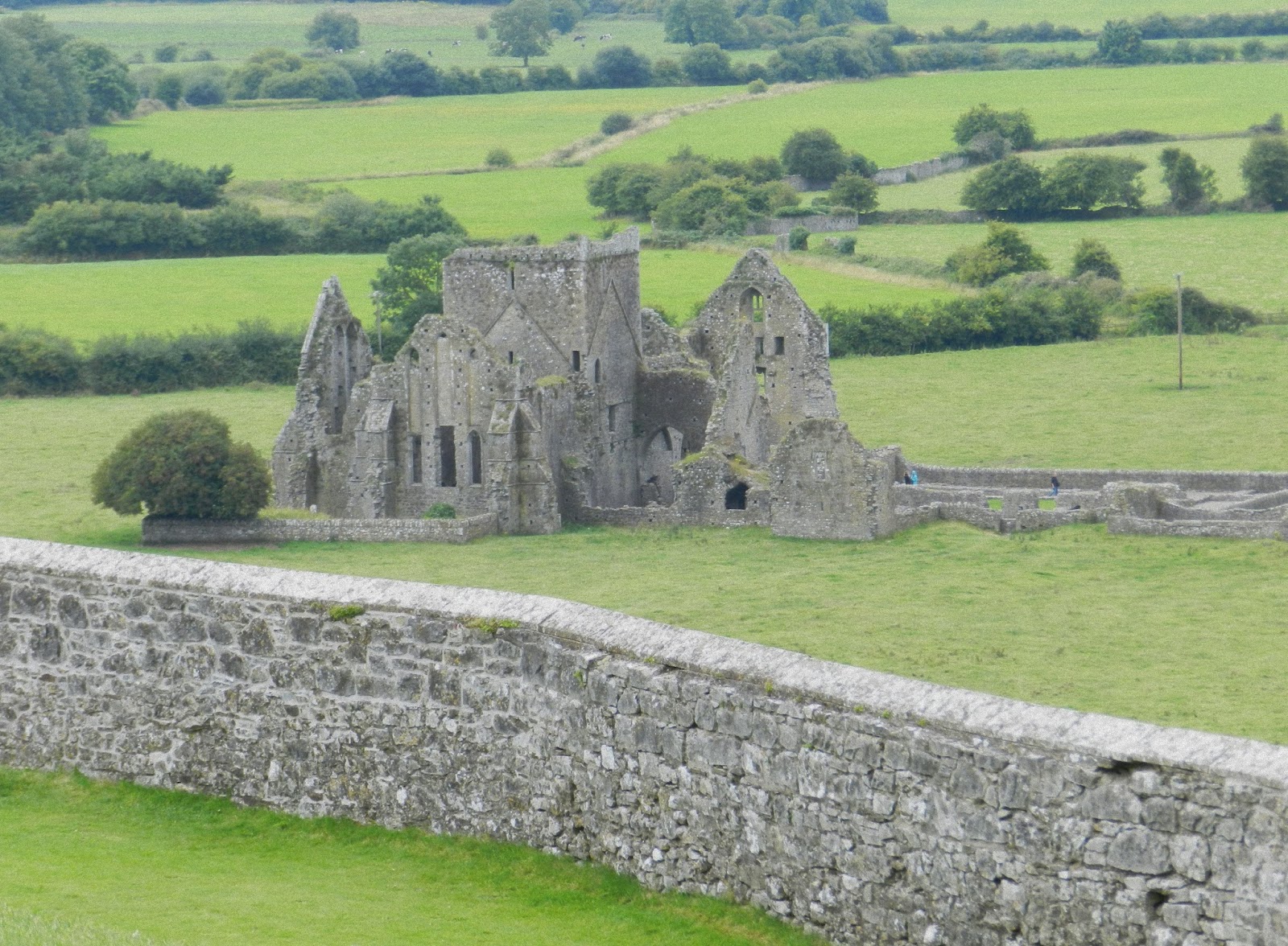 The Paddock Irish Fence