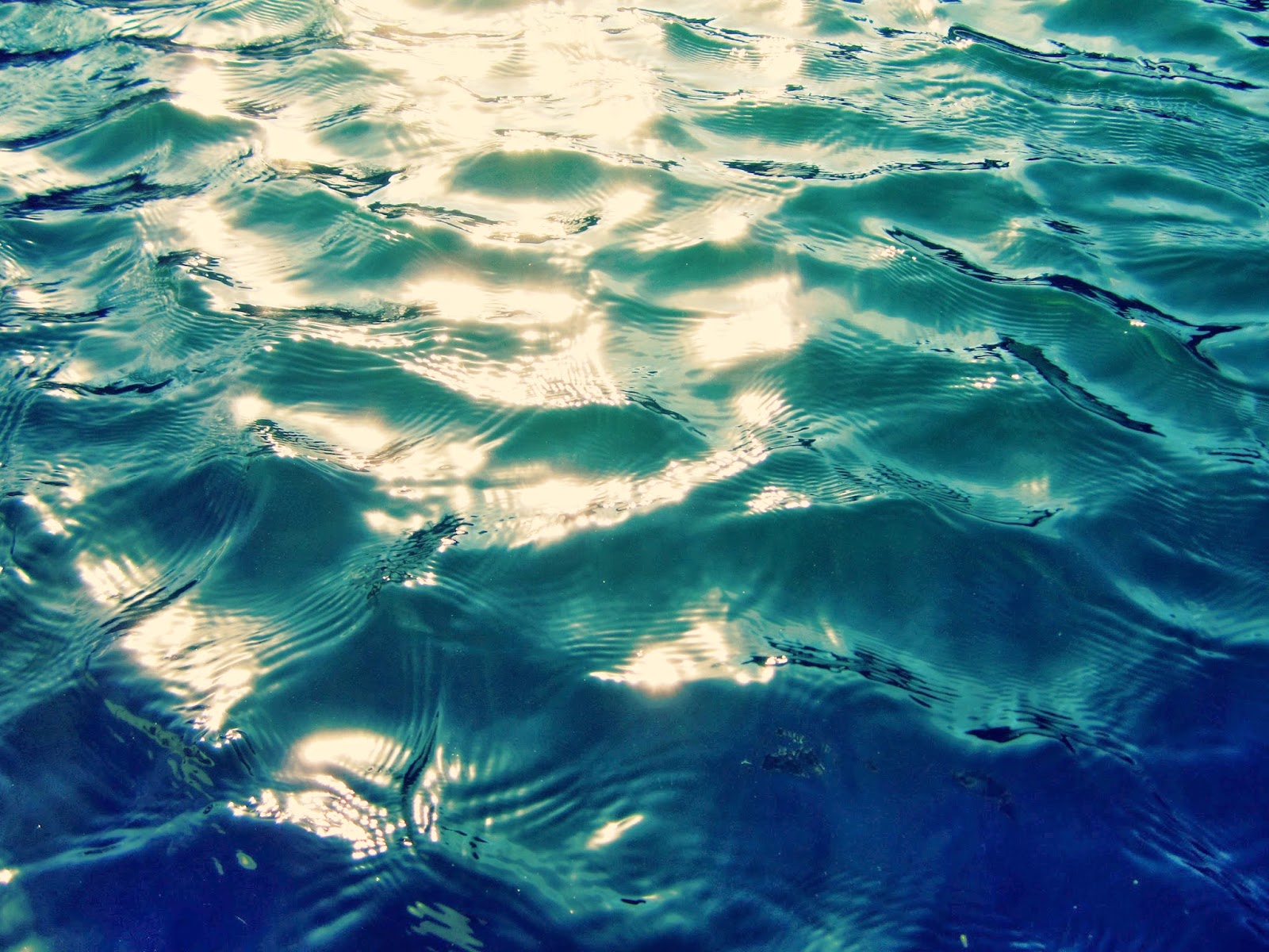 Cbus52 Columbus in a Year Wind + Water