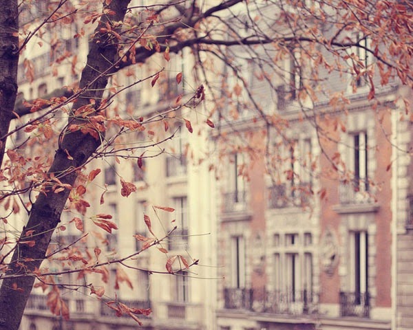 autumn, jesień, halloween in hogwart, sweater weather, rain, leafs, gold, pupmpkin, friends, thanksgiving, turkey, paris,
