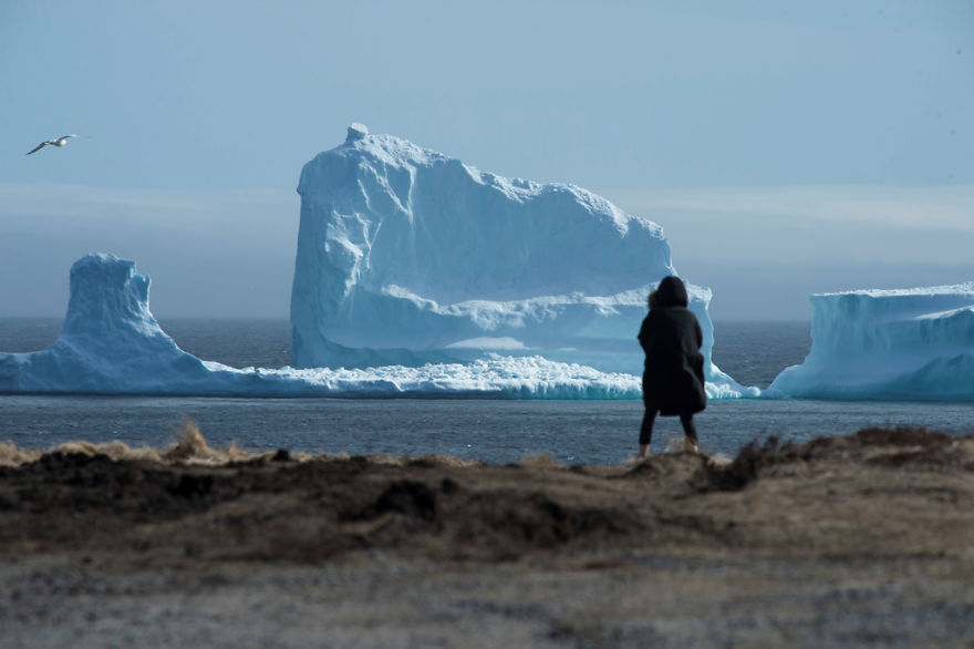 This Enormous Iceberg Is 50ft Larger Than The One The Titanic Crashed Into
